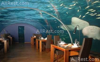 Hilton Maldives Resort & Spa 23